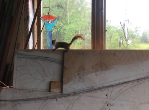 7. Medallion Gate admirer (squirrel)